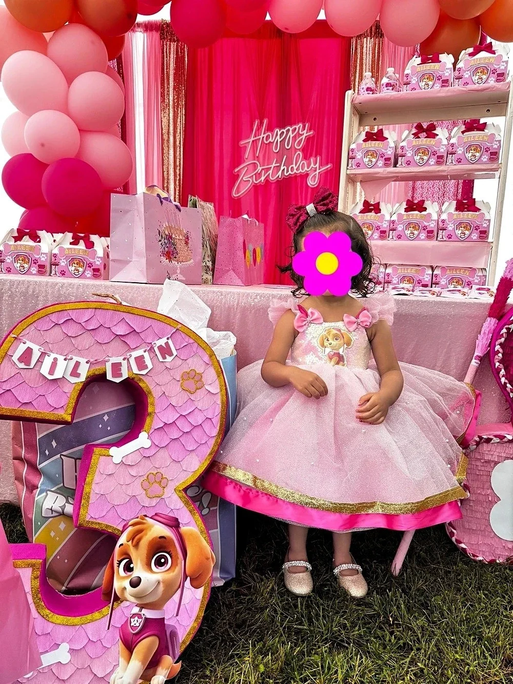 Skye Paw patrol toddler dress